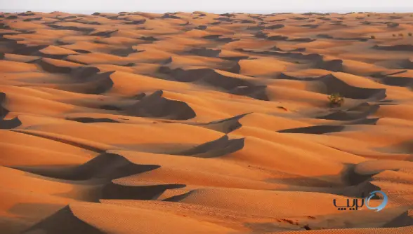 کویر مصر ایران